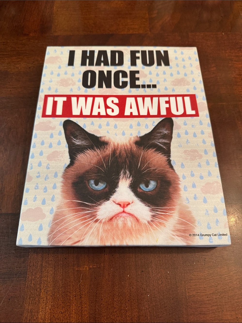 Grumpy Cat I Had Fun Once It was Awful Plaque Funny Sign